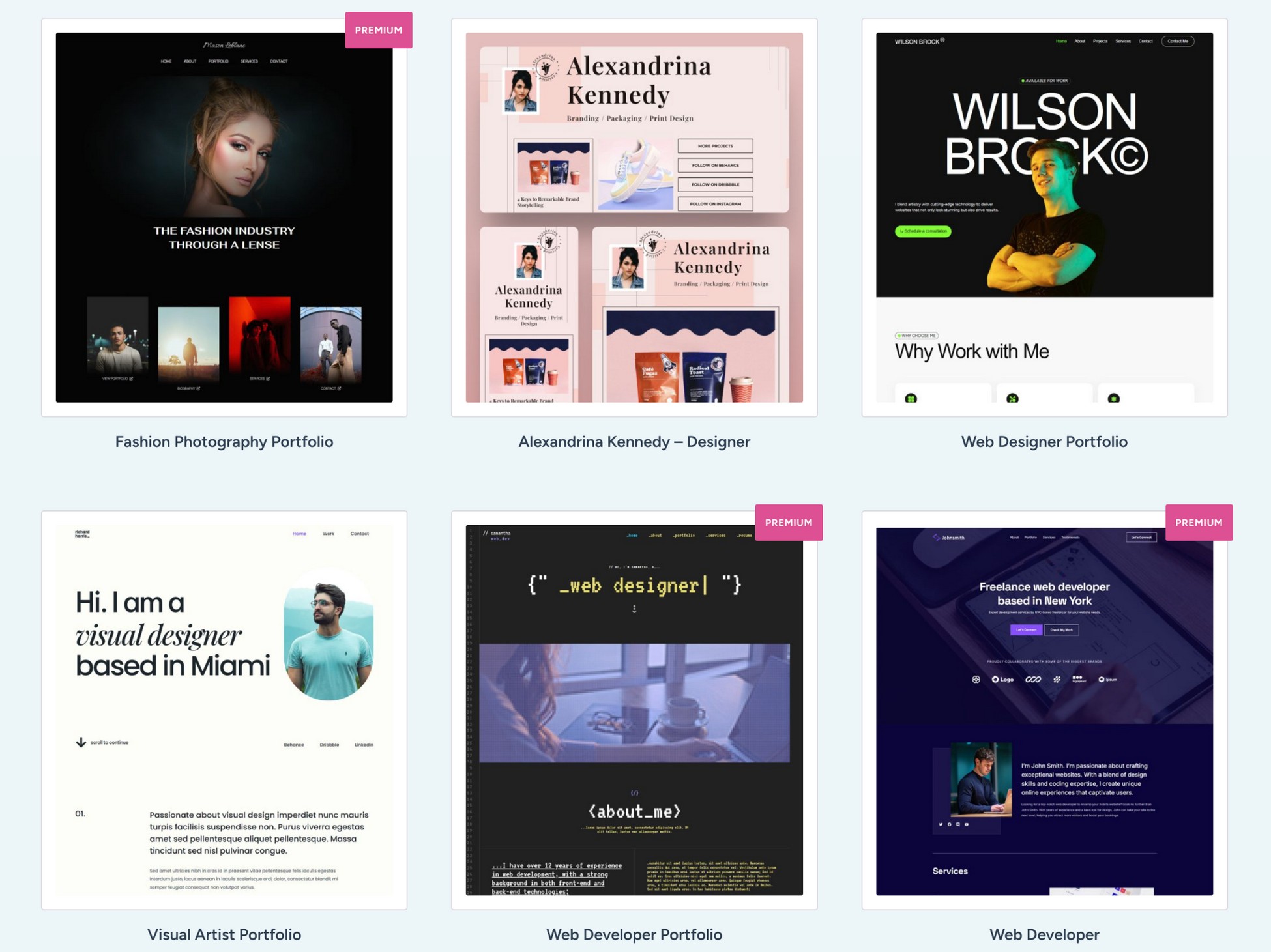 portfolio starter templates by astra